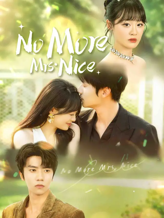 No More Mrs. Nice cover