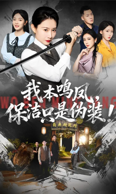 The Phoenix' Wrath poster