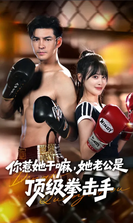 Her Top Boxer Husband poster