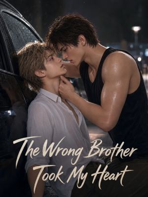 The Wrong Brother Took My Heart poster