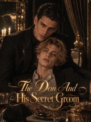 The Don And His Secret Groom poster