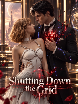 Shutting Down the Grid poster