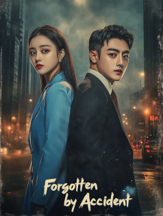 Forgotten by Accident poster