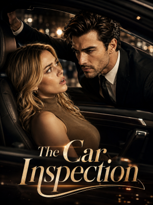 The Car Inspection poster