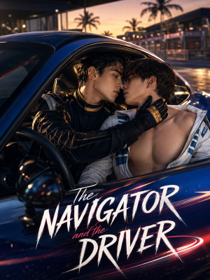 The Navigator and the Driver poster