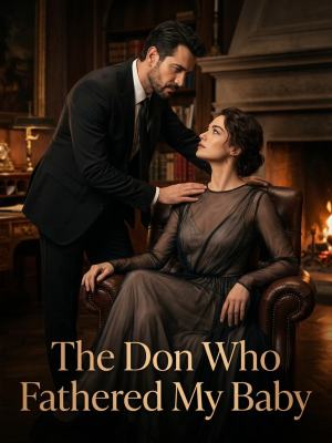 The Don Who Fathered My Baby poster