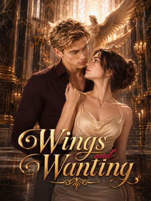 Wings and Wanting poster