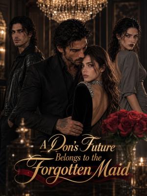 A Don's Future Belongs to the Forgotten Maid poster