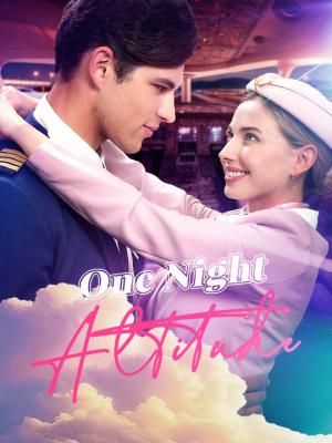 One Night Altitude poster