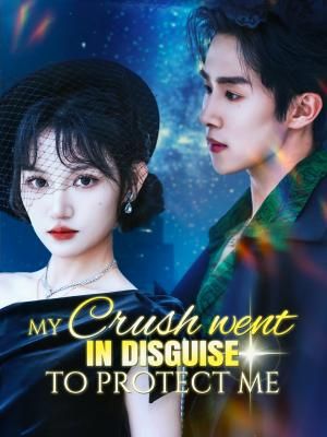 My Crush Went in Disguise to Protect Me poster