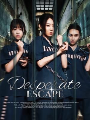 Desperate Escape poster