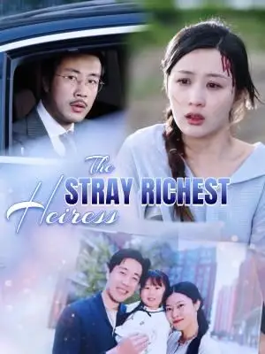 The Stray Richest Heiress poster