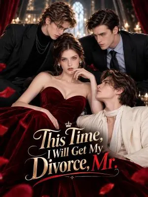 This Time, I Will Get My Divorce, Mr. poster