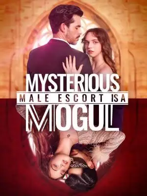 Mysterious Male Escort Is a Mogul cover