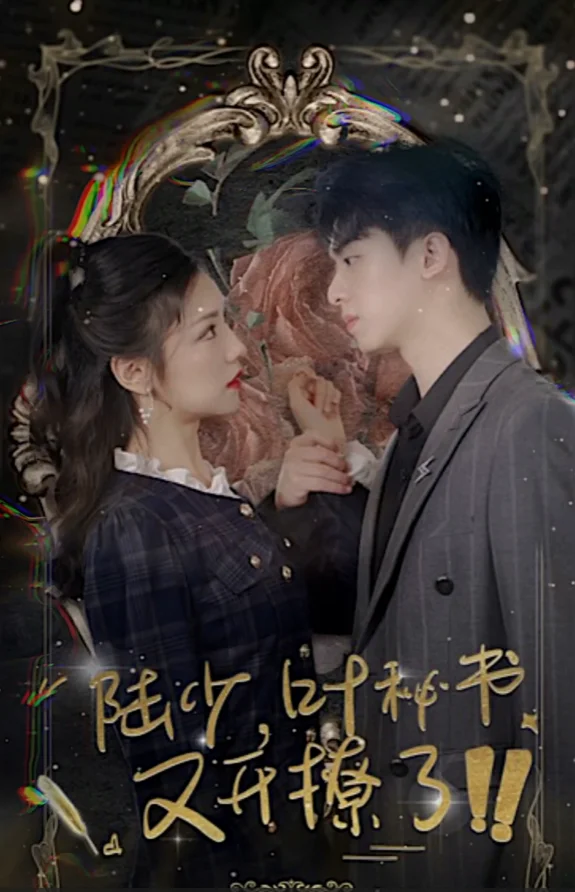 The Secretary's Seduction Game poster