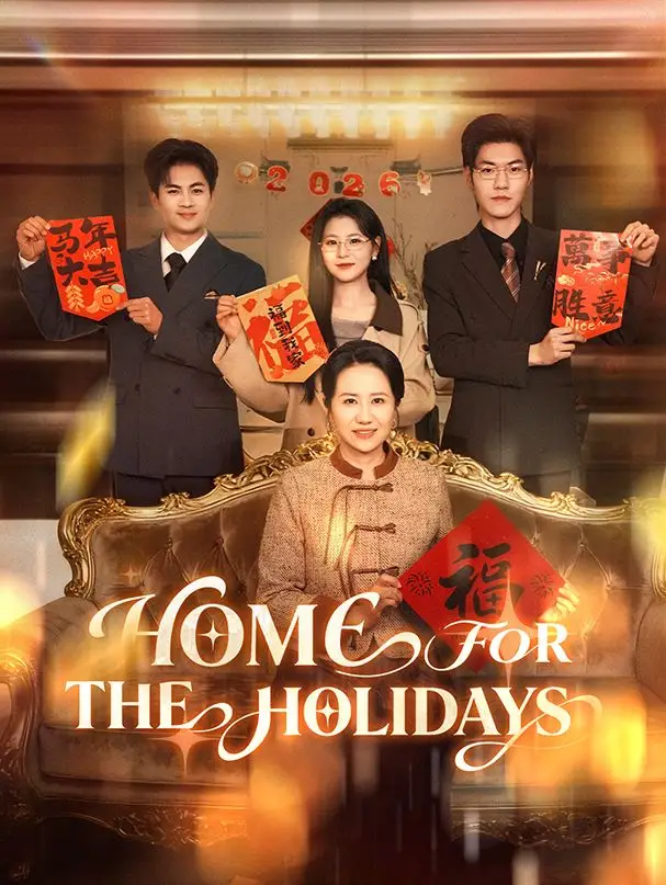 Home for the Holidays poster