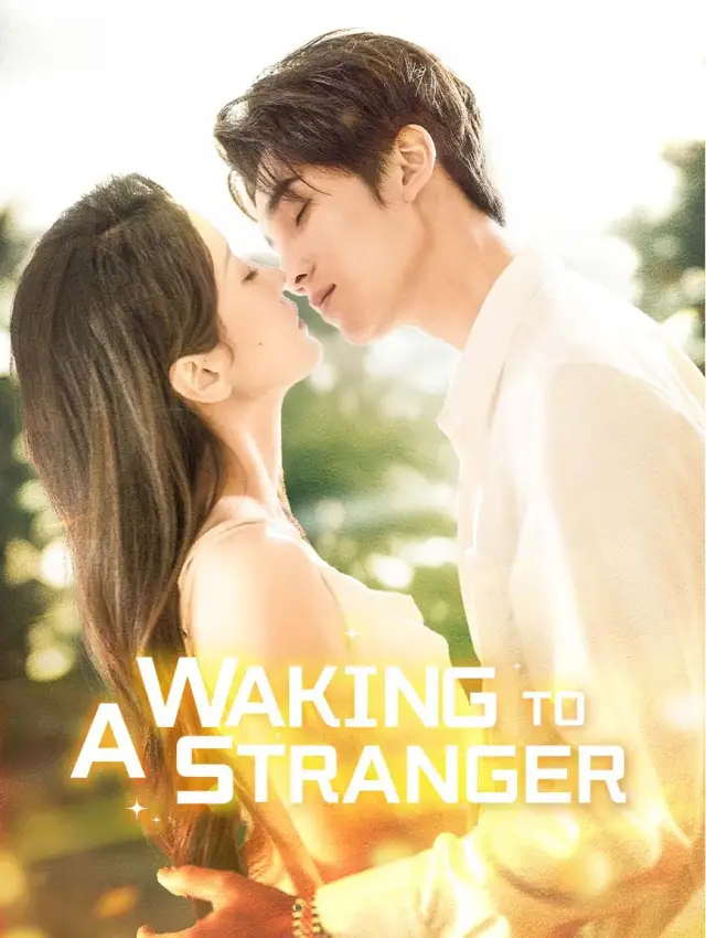 Waking to a Stranger cover