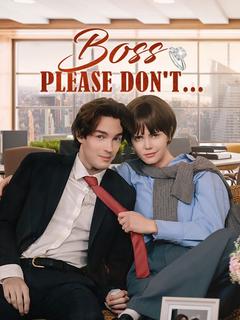 Boss, Please don't..! poster