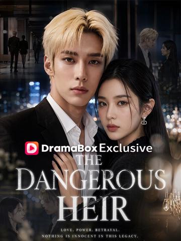 The Dangerous Heir（DUBBED） poster
