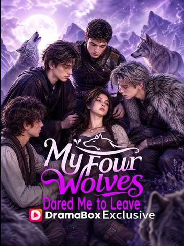 My Four Wolves Dared Me to Leave poster