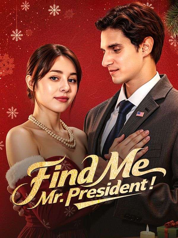 Find Me, Mr. President! poster