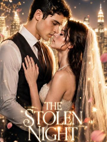 The stolen night poster