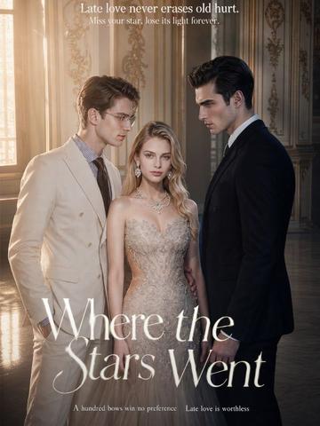 Where the Stars Went poster