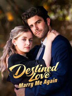 Destined Love: Marry Me Again poster