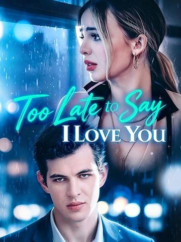 Too Late to Say I Love You poster