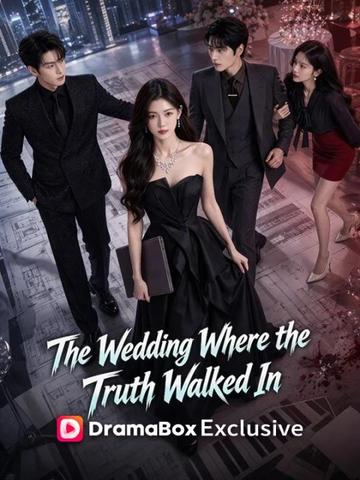 The Wedding Where the Truth Walked In poster
