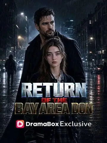 Return of the Bay Area Don poster