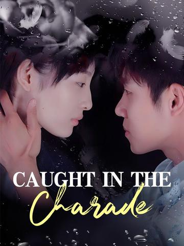 Caught in the Charade（DUBBED） poster