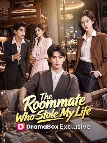 The Roommate Who Stole My Life poster