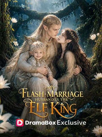 My Flash-Marriage Husband is the EIf King poster