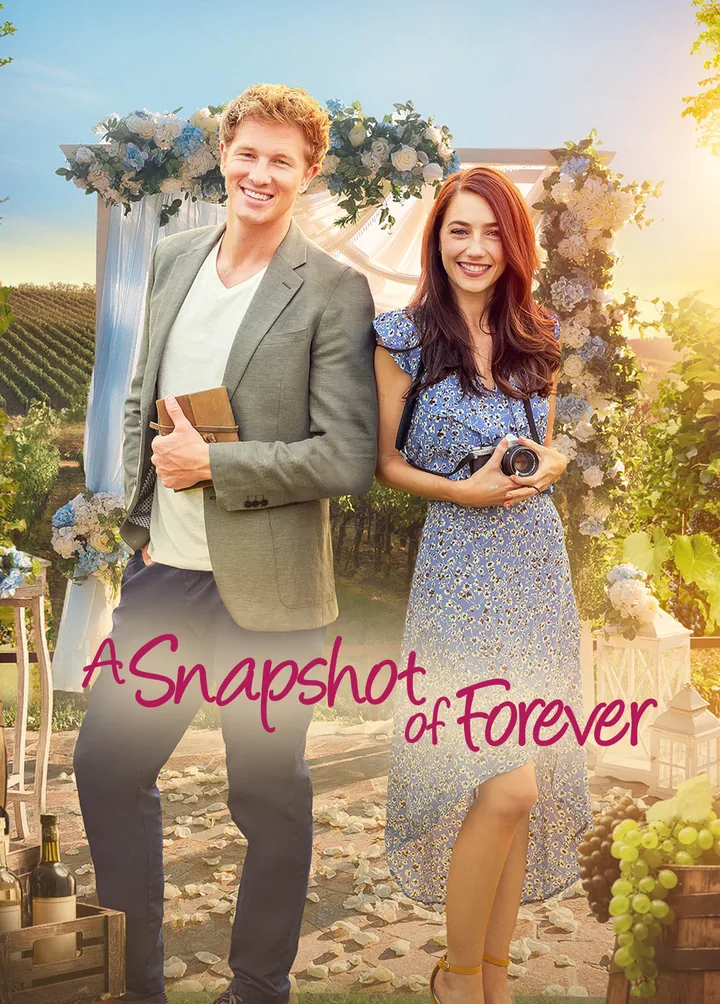 A Snapshot Of Forever poster
