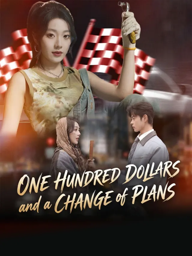 One Hundred Dollars and a Change of Plans poster