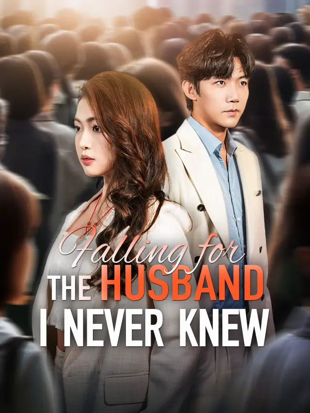 Falling for the Husband I Never Knew poster