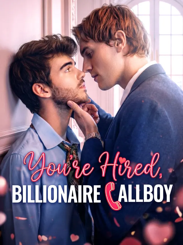 You're Hired, Billionaire Callboy poster