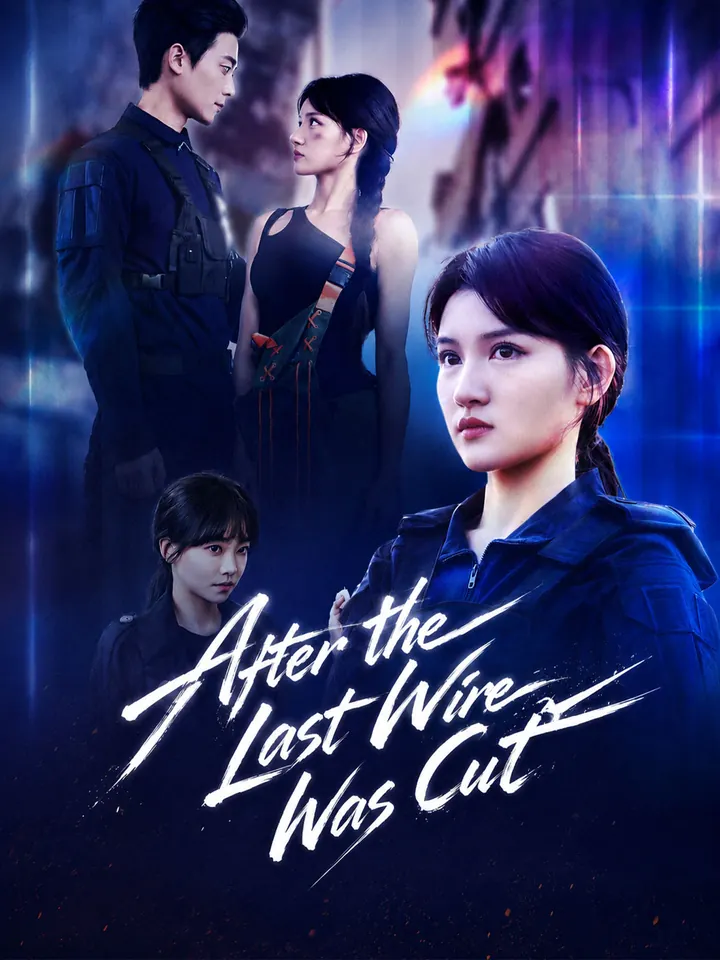 After the Last Wire Was Cut poster