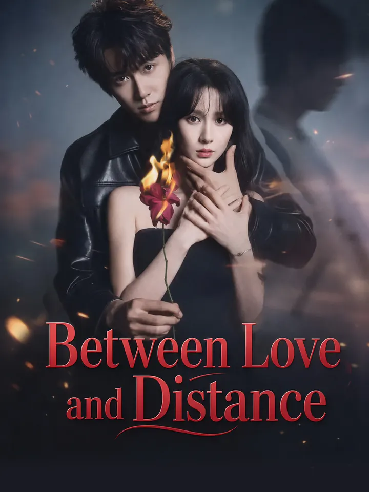 Between Love and Distance poster