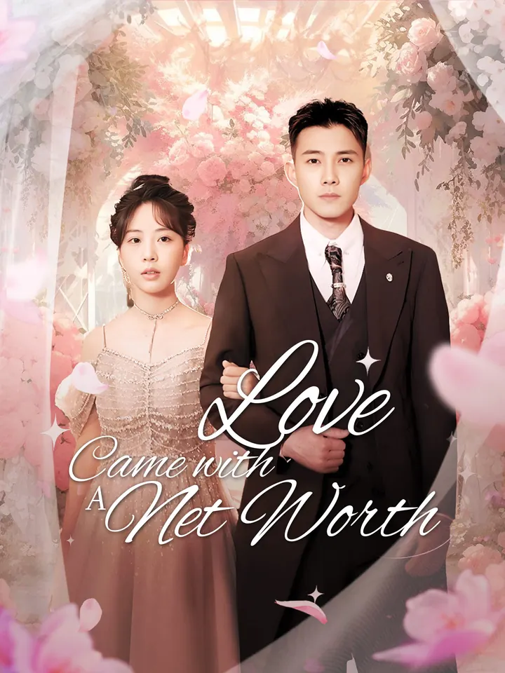 Love Came with a Net Worth poster
