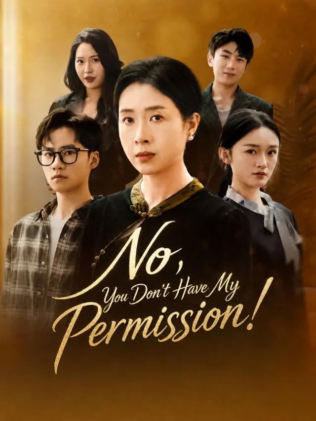No, You Don't Have My Permission! poster