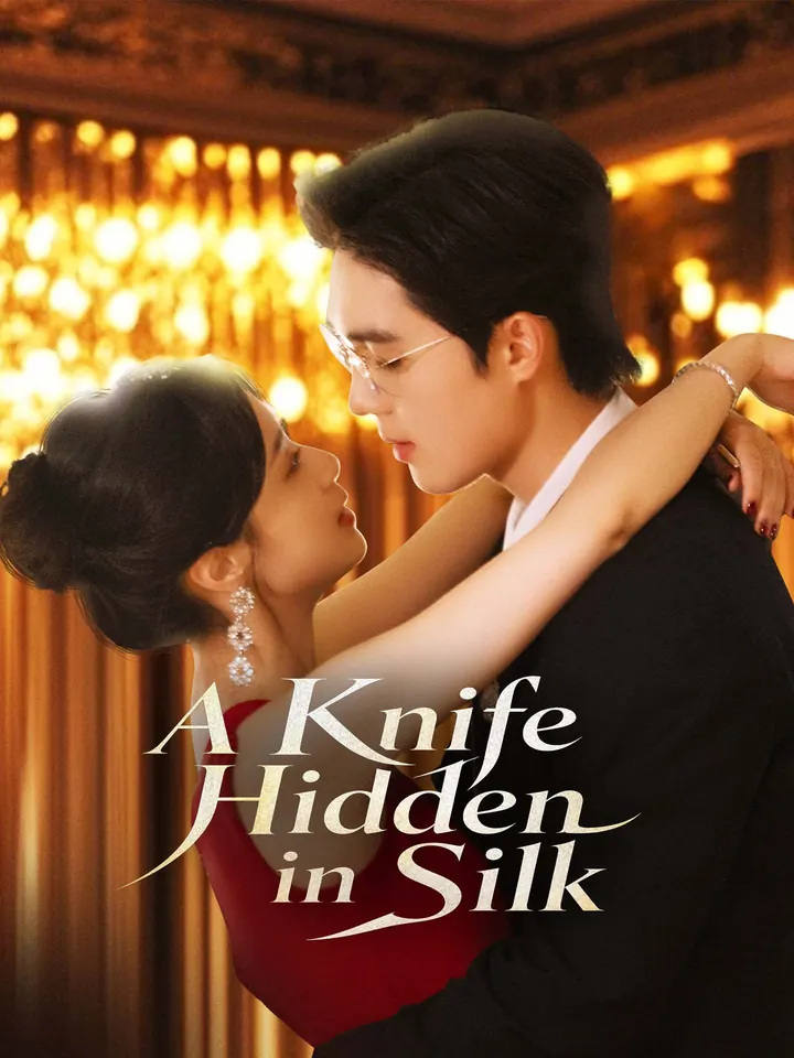 A Knife Hidden in Silk poster