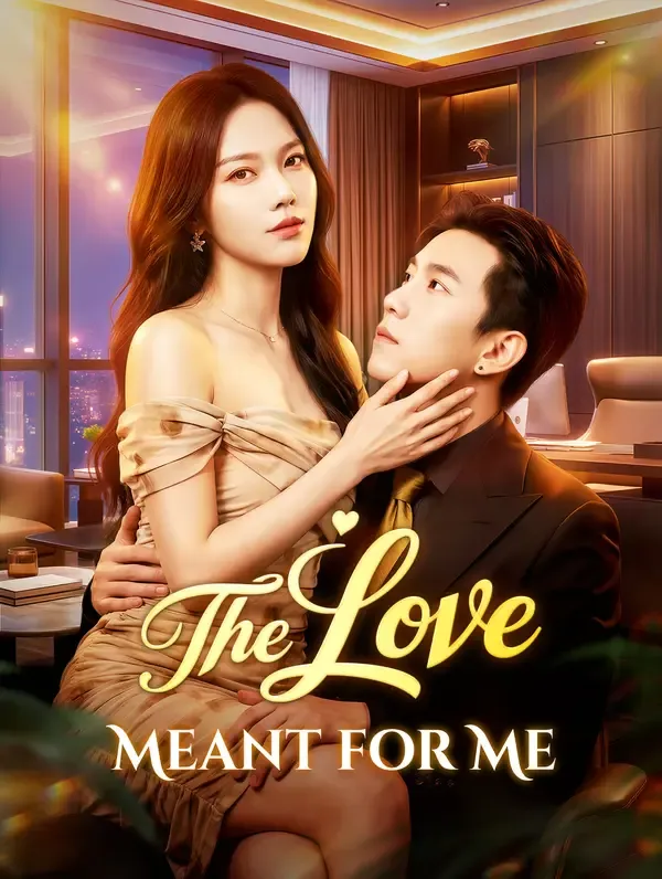 The Love Meant for Me poster
