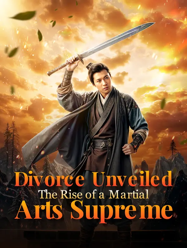 Divorce Unveiled: The Rise of a Martial Arts Supreme poster