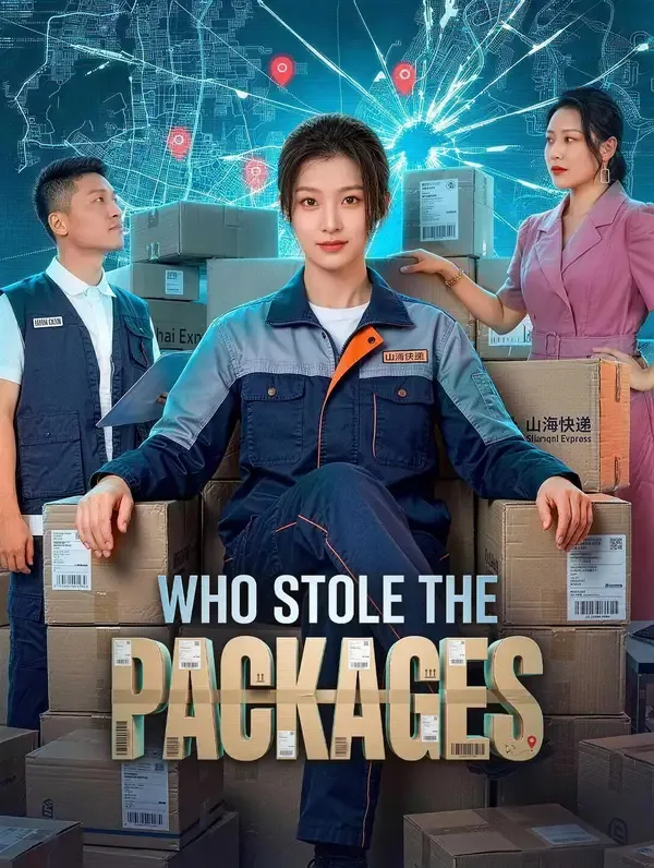 Who Stole the Packages? poster