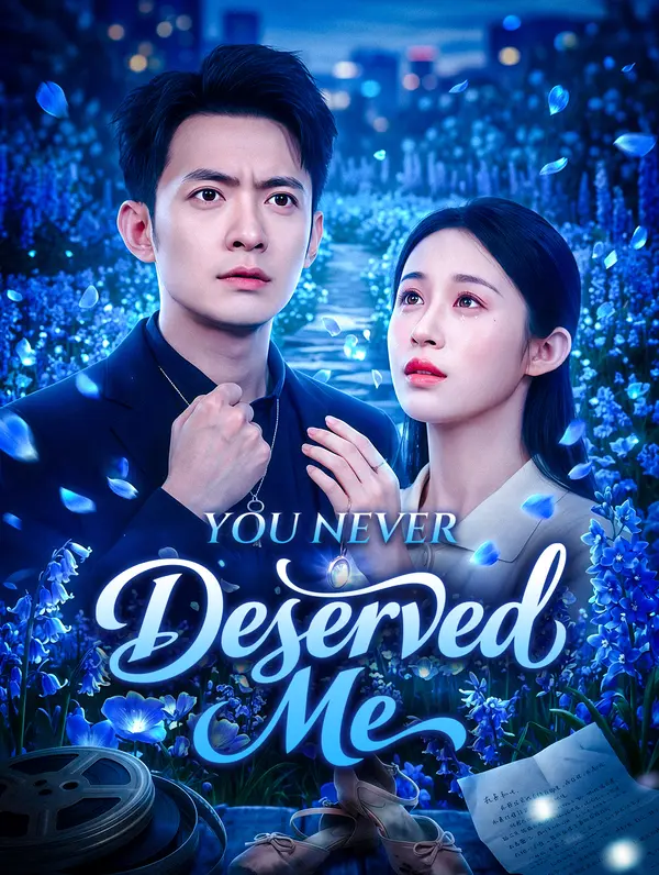 You Never Deserved Me poster