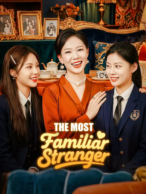 The Most Familiar Stranger poster