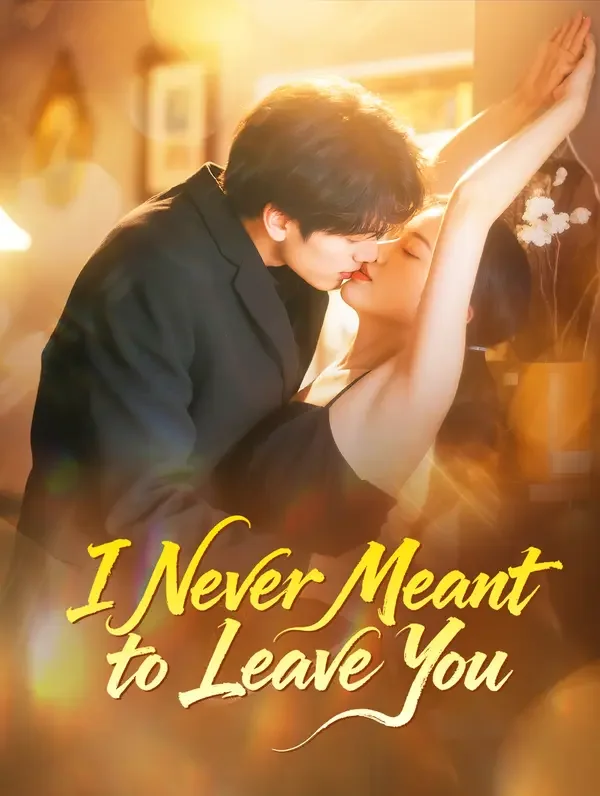 I Never Meant to Leave You poster