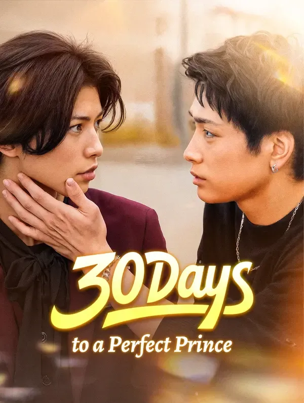 30 Days to a Perfect Prince poster